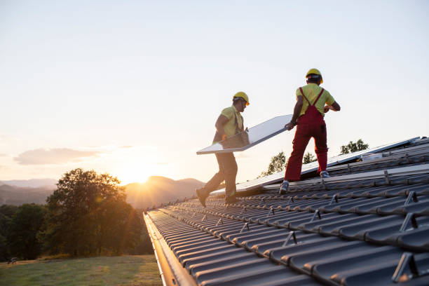 Best Roof Moss and Algae Removal  in Leslie, MI