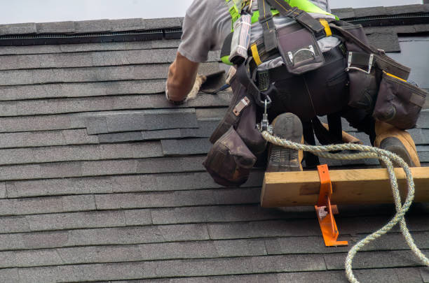Best Roof Ventilation Installation  in Leslie, MI