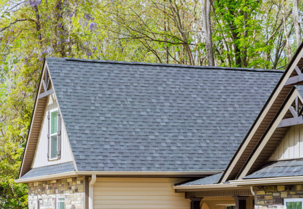 Best Asphalt Shingles Roofing  in Leslie, MI