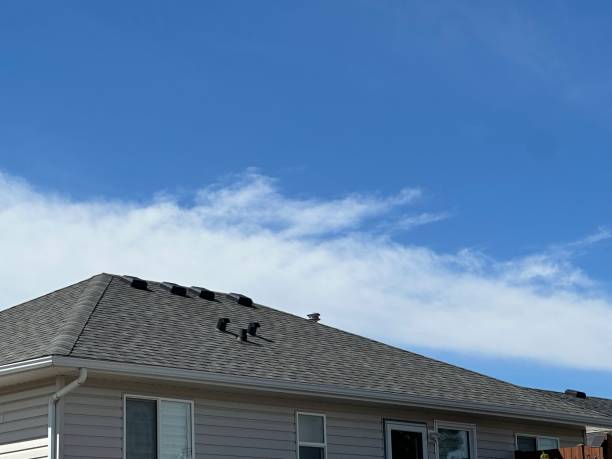 Best Metal Roofing Installation  in Leslie, MI